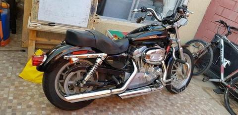 Harley Davidson XL 883 año 2007
